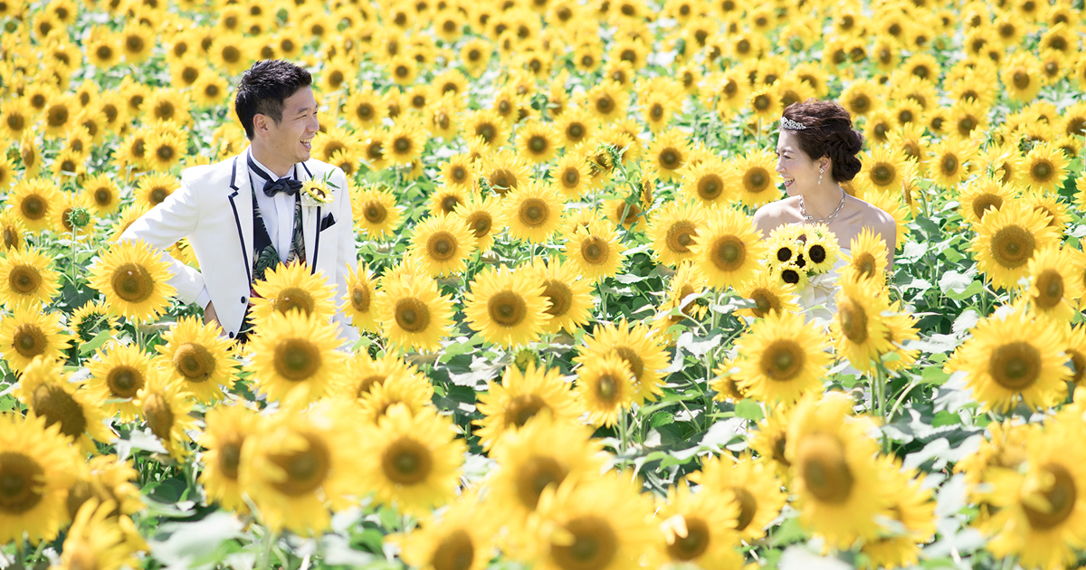 Preview image published by oz-bridal.live